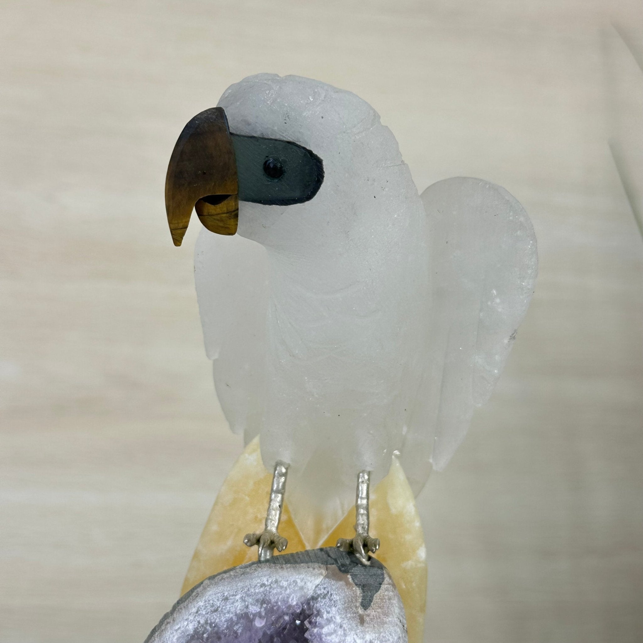 Large Hand - Carved Clear Quartz Parrot 10" Long on Amethyst Cluster #3005 - CQPAM - 048 - Brazil GemsBrazil GemsLarge Hand - Carved Clear Quartz Parrot 10" Long on Amethyst Cluster #3005 - CQPAM - 048Crystal Birds3005 - CQPAM - 048