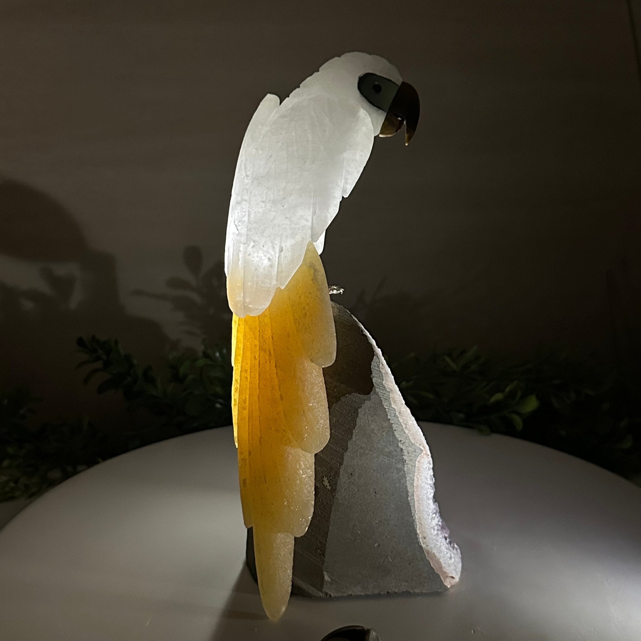 Large Hand - Carved Clear Quartz Parrot 10" Long on Amethyst Cluster #3005 - CQPAM - 048 - Brazil GemsBrazil GemsLarge Hand - Carved Clear Quartz Parrot 10" Long on Amethyst Cluster #3005 - CQPAM - 048Crystal Birds3005 - CQPAM - 048