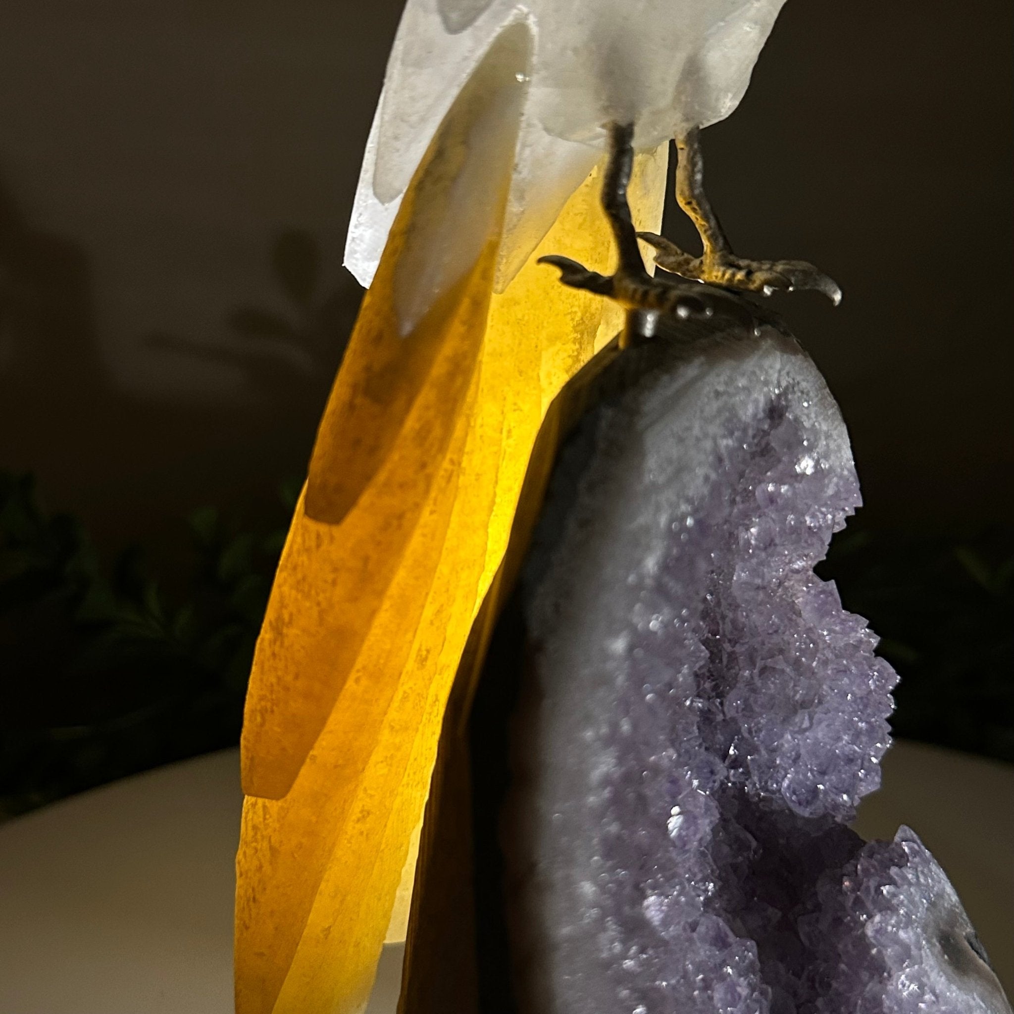 Large Hand - Carved Clear Quartz Parrot 10" Long on Amethyst Cluster #3005 - CQPAM - 048 - Brazil GemsBrazil GemsLarge Hand - Carved Clear Quartz Parrot 10" Long on Amethyst Cluster #3005 - CQPAM - 048Crystal Birds3005 - CQPAM - 048