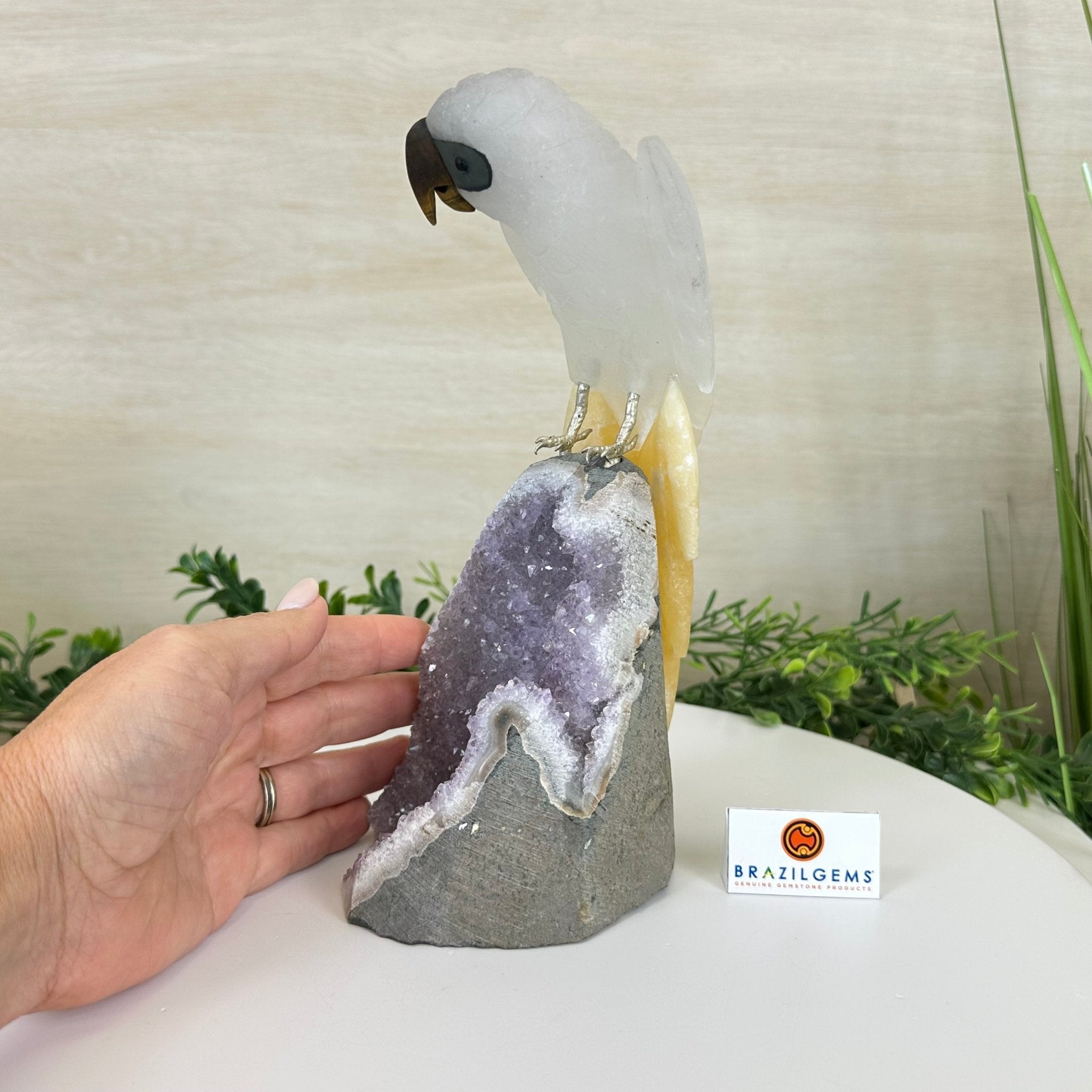 Large Hand - Carved Clear Quartz Parrot 10" Long on Amethyst Cluster #3005 - CQPAM - 048 - Brazil GemsBrazil GemsLarge Hand - Carved Clear Quartz Parrot 10" Long on Amethyst Cluster #3005 - CQPAM - 048Crystal Birds3005 - CQPAM - 048