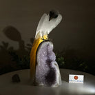 Large Hand - Carved Clear Quartz Parrot 10" Long on Amethyst Cluster #3005 - CQPAM - 048 - Brazil GemsBrazil GemsLarge Hand - Carved Clear Quartz Parrot 10" Long on Amethyst Cluster #3005 - CQPAM - 048Crystal Birds3005 - CQPAM - 048