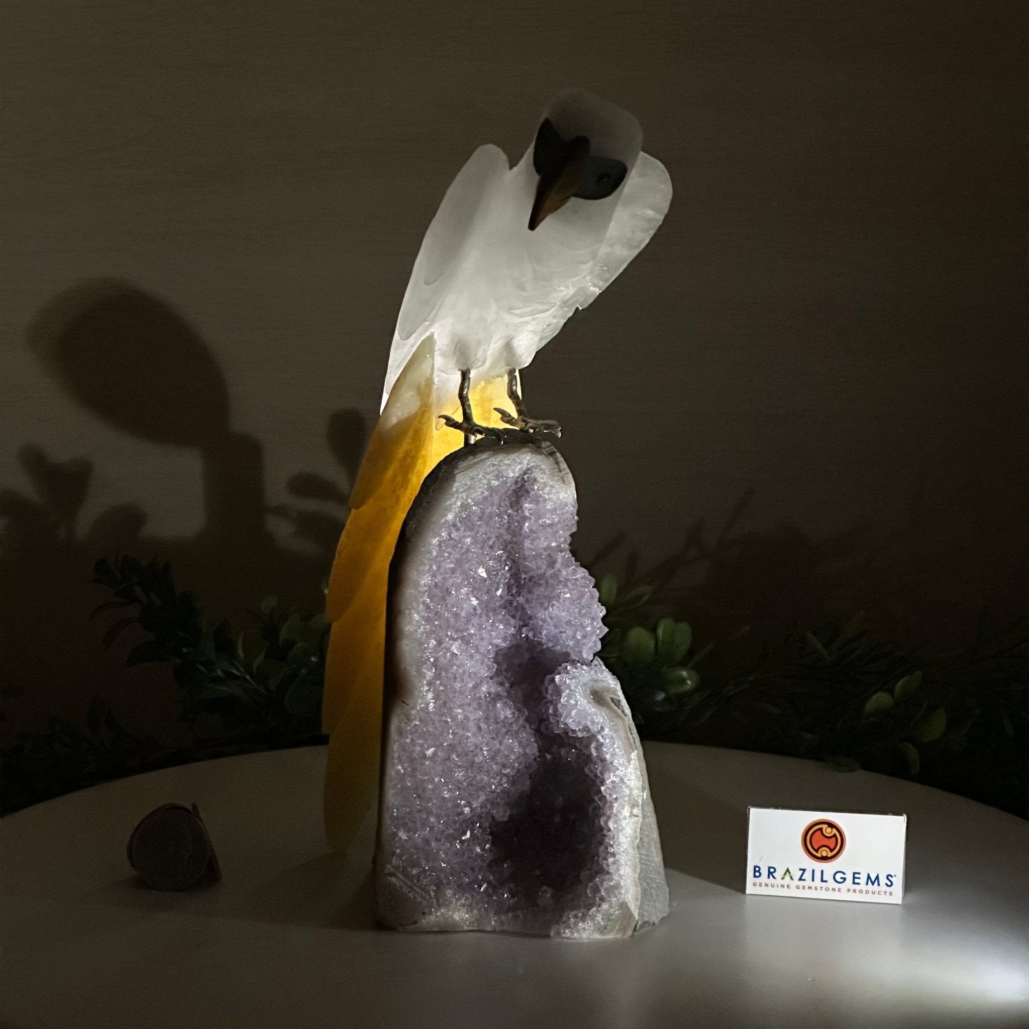 Large Hand - Carved Clear Quartz Parrot 10" Long on Amethyst Cluster #3005 - CQPAM - 048 - Brazil GemsBrazil GemsLarge Hand - Carved Clear Quartz Parrot 10" Long on Amethyst Cluster #3005 - CQPAM - 048Crystal Birds3005 - CQPAM - 048