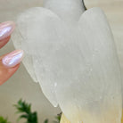 Large Hand - Carved Clear Quartz Parrot 10" Long on Amethyst Cluster #3005 - CQPAM - 048 - Brazil GemsBrazil GemsLarge Hand - Carved Clear Quartz Parrot 10" Long on Amethyst Cluster #3005 - CQPAM - 048Crystal Birds3005 - CQPAM - 048