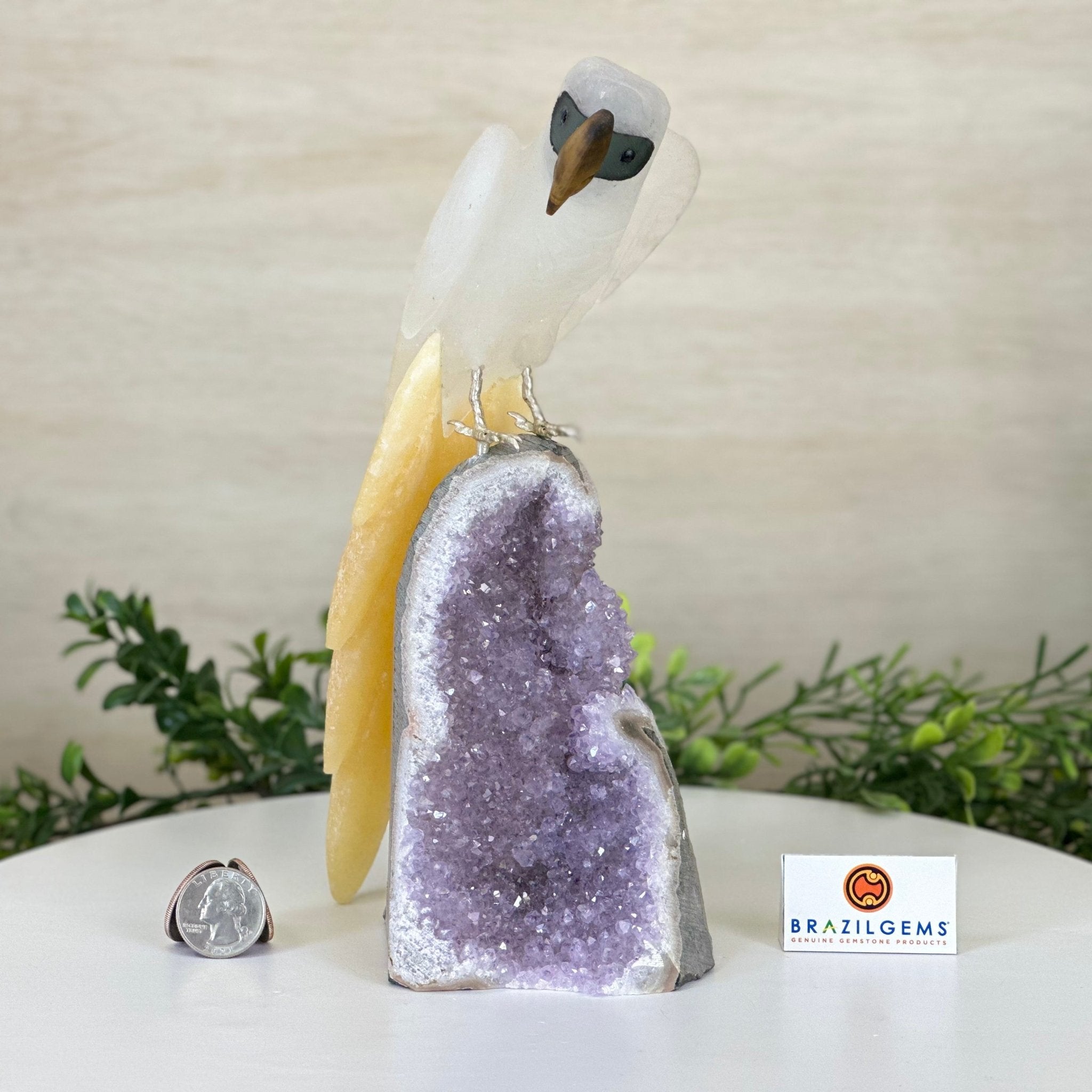 Large Hand - Carved Clear Quartz Parrot 10" Long on Amethyst Cluster #3005 - CQPAM - 048 - Brazil GemsBrazil GemsLarge Hand - Carved Clear Quartz Parrot 10" Long on Amethyst Cluster #3005 - CQPAM - 048Crystal Birds3005 - CQPAM - 048
