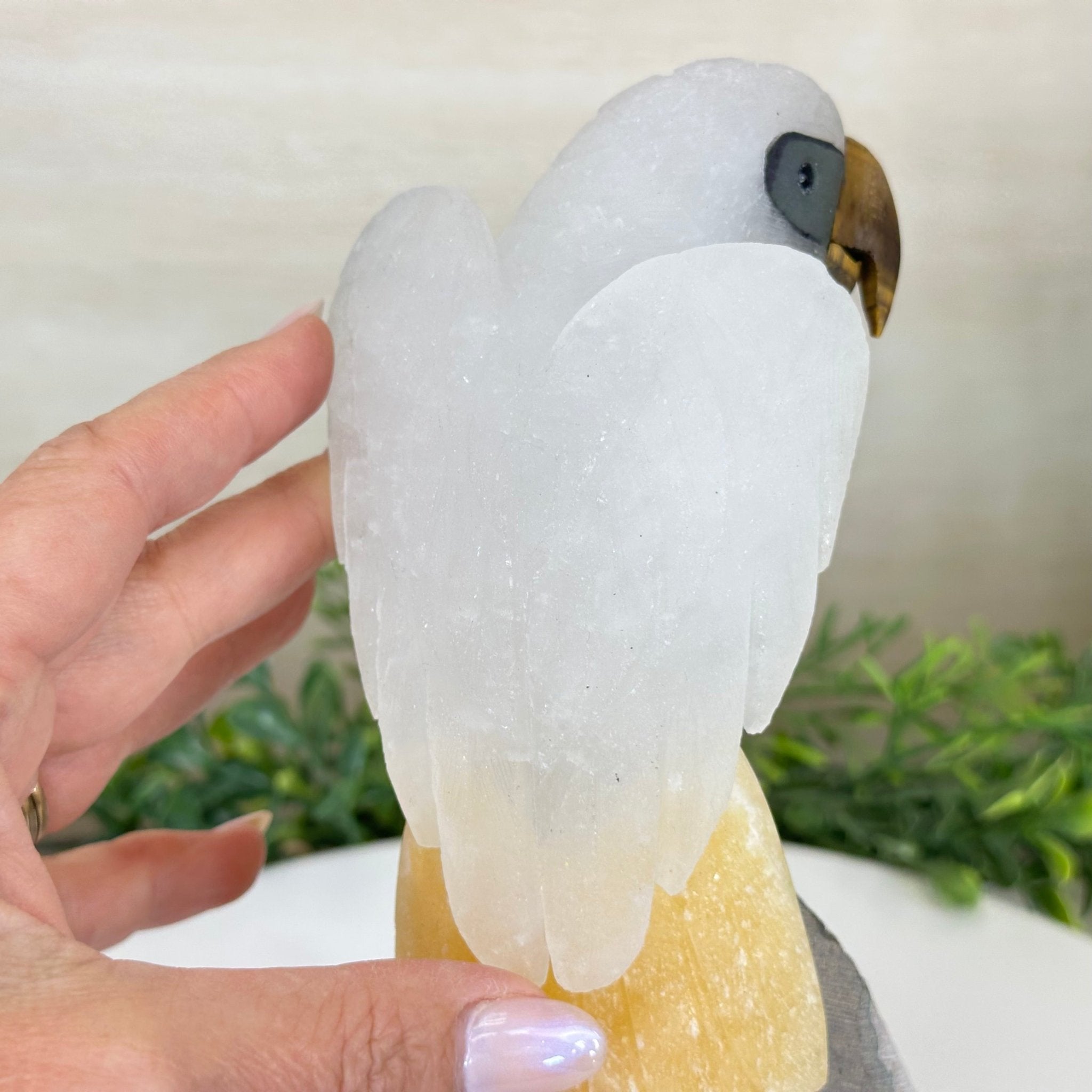 Large Hand - Carved Clear Quartz Parrot 10" Long on Amethyst Cluster #3005 - CQPAM - 048 - Brazil GemsBrazil GemsLarge Hand - Carved Clear Quartz Parrot 10" Long on Amethyst Cluster #3005 - CQPAM - 048Crystal Birds3005 - CQPAM - 048