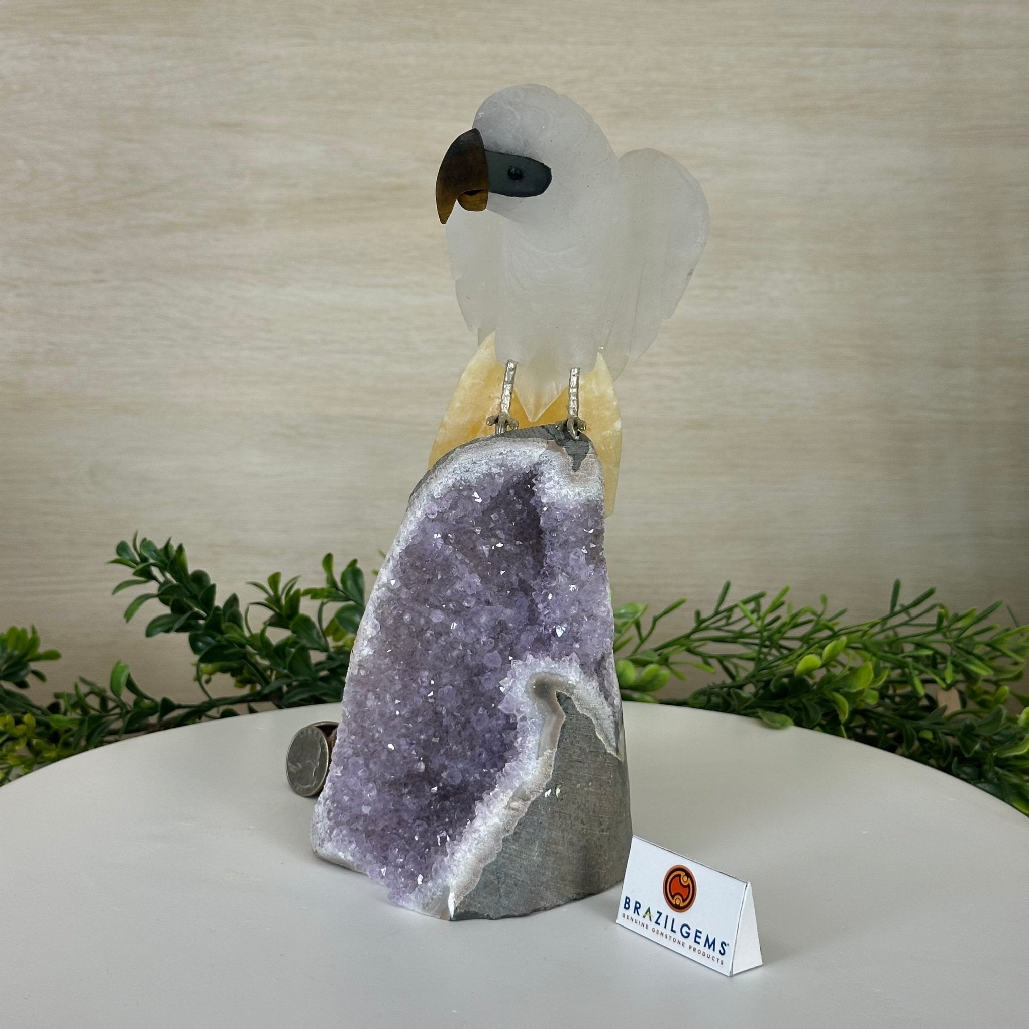 Large Hand - Carved Clear Quartz Parrot 10" Long on Amethyst Cluster #3005 - CQPAM - 048 - Brazil GemsBrazil GemsLarge Hand - Carved Clear Quartz Parrot 10" Long on Amethyst Cluster #3005 - CQPAM - 048Crystal Birds3005 - CQPAM - 048