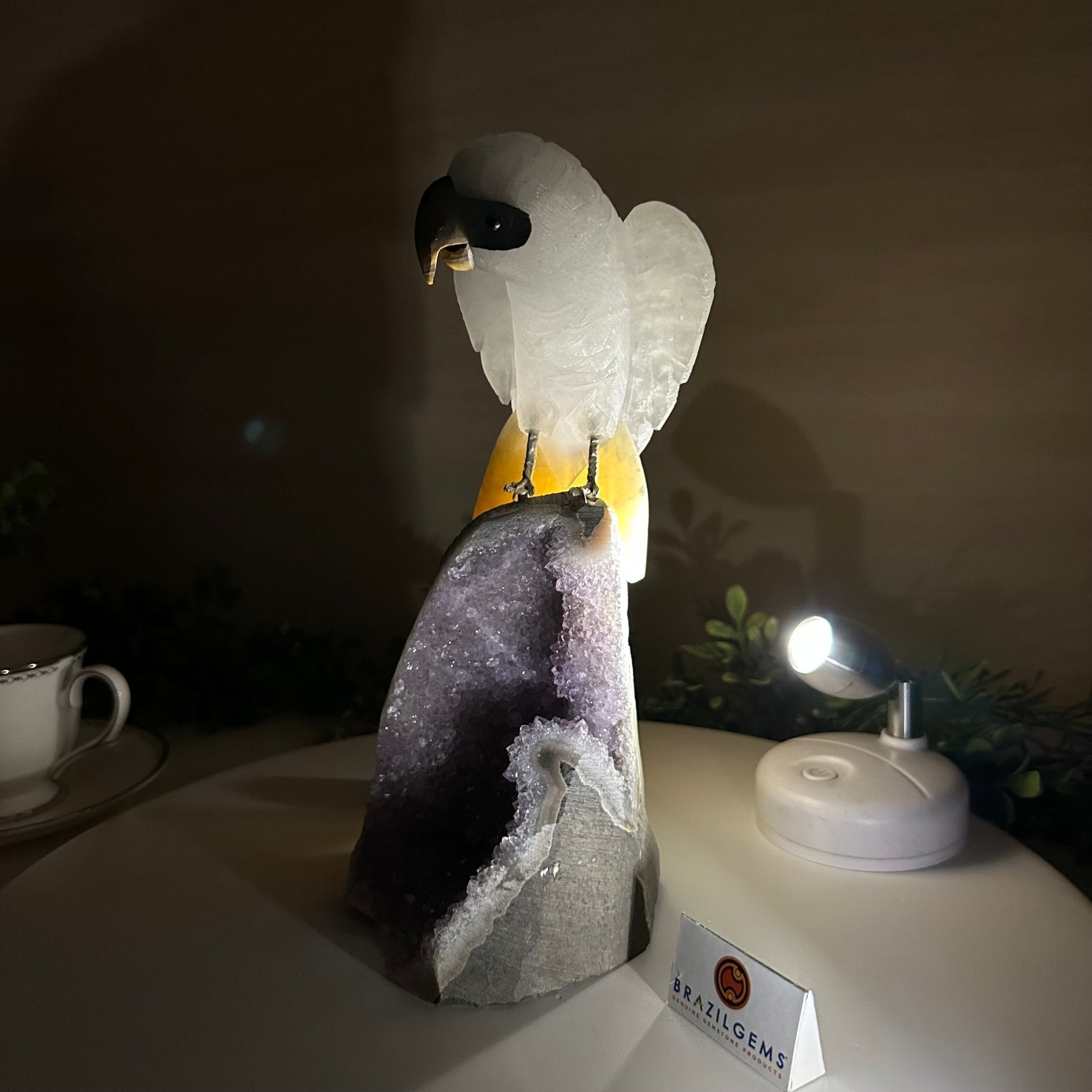 Large Hand - Carved Clear Quartz Parrot 10" Long on Amethyst Cluster #3005 - CQPAM - 048 - Brazil GemsBrazil GemsLarge Hand - Carved Clear Quartz Parrot 10" Long on Amethyst Cluster #3005 - CQPAM - 048Crystal Birds3005 - CQPAM - 048