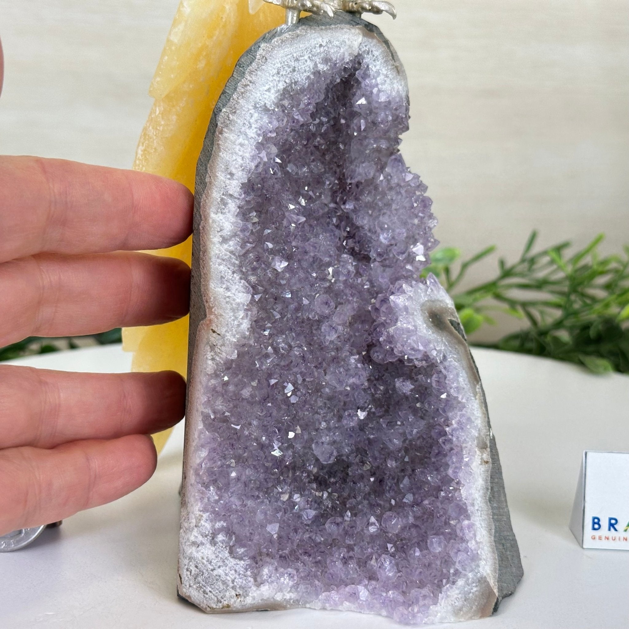 Large Hand - Carved Clear Quartz Parrot 10" Long on Amethyst Cluster #3005 - CQPAM - 048 - Brazil GemsBrazil GemsLarge Hand - Carved Clear Quartz Parrot 10" Long on Amethyst Cluster #3005 - CQPAM - 048Crystal Birds3005 - CQPAM - 048
