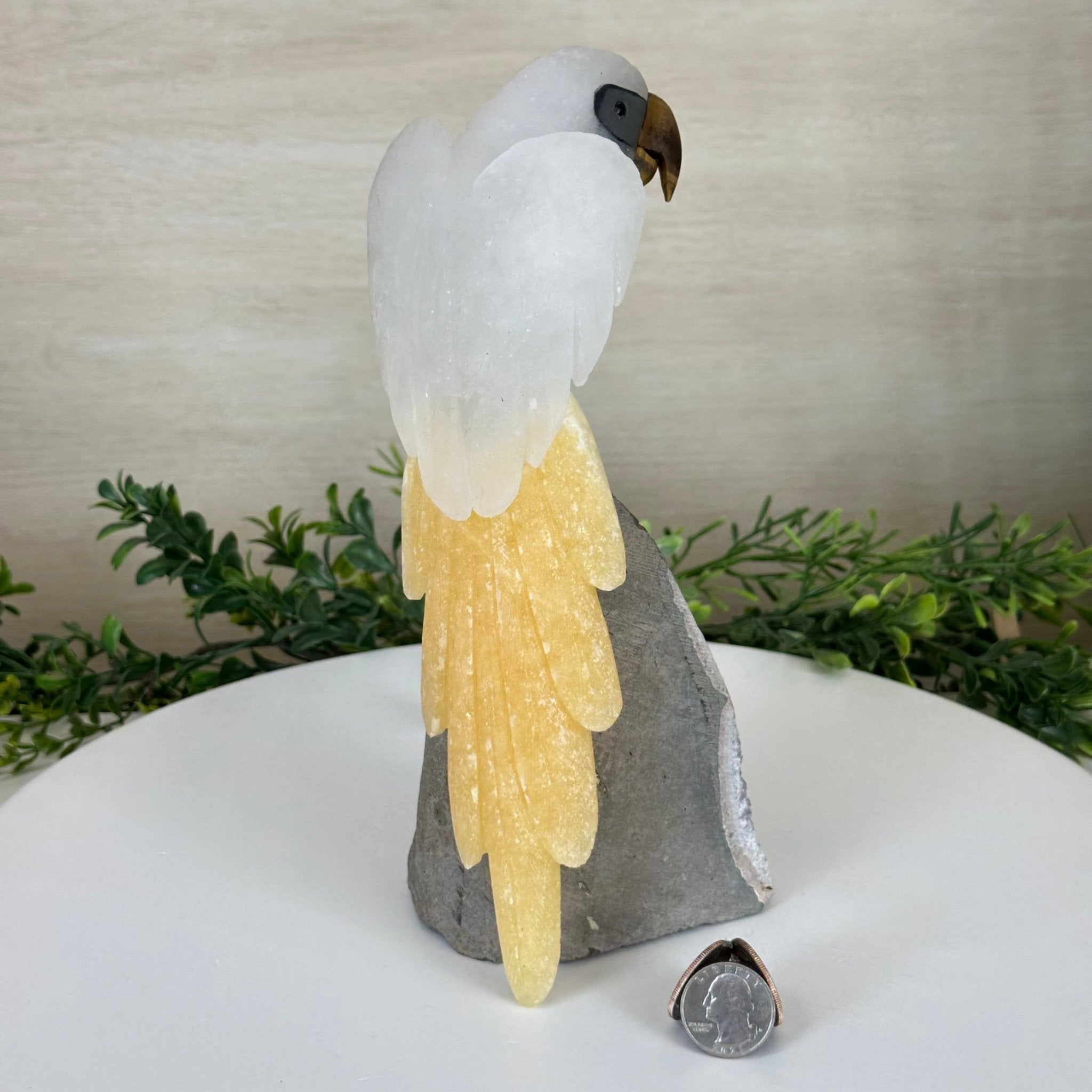 Large Hand - Carved Clear Quartz Parrot 10" Long on Amethyst Cluster #3005 - CQPAM - 048 - Brazil GemsBrazil GemsLarge Hand - Carved Clear Quartz Parrot 10" Long on Amethyst Cluster #3005 - CQPAM - 048Crystal Birds3005 - CQPAM - 048