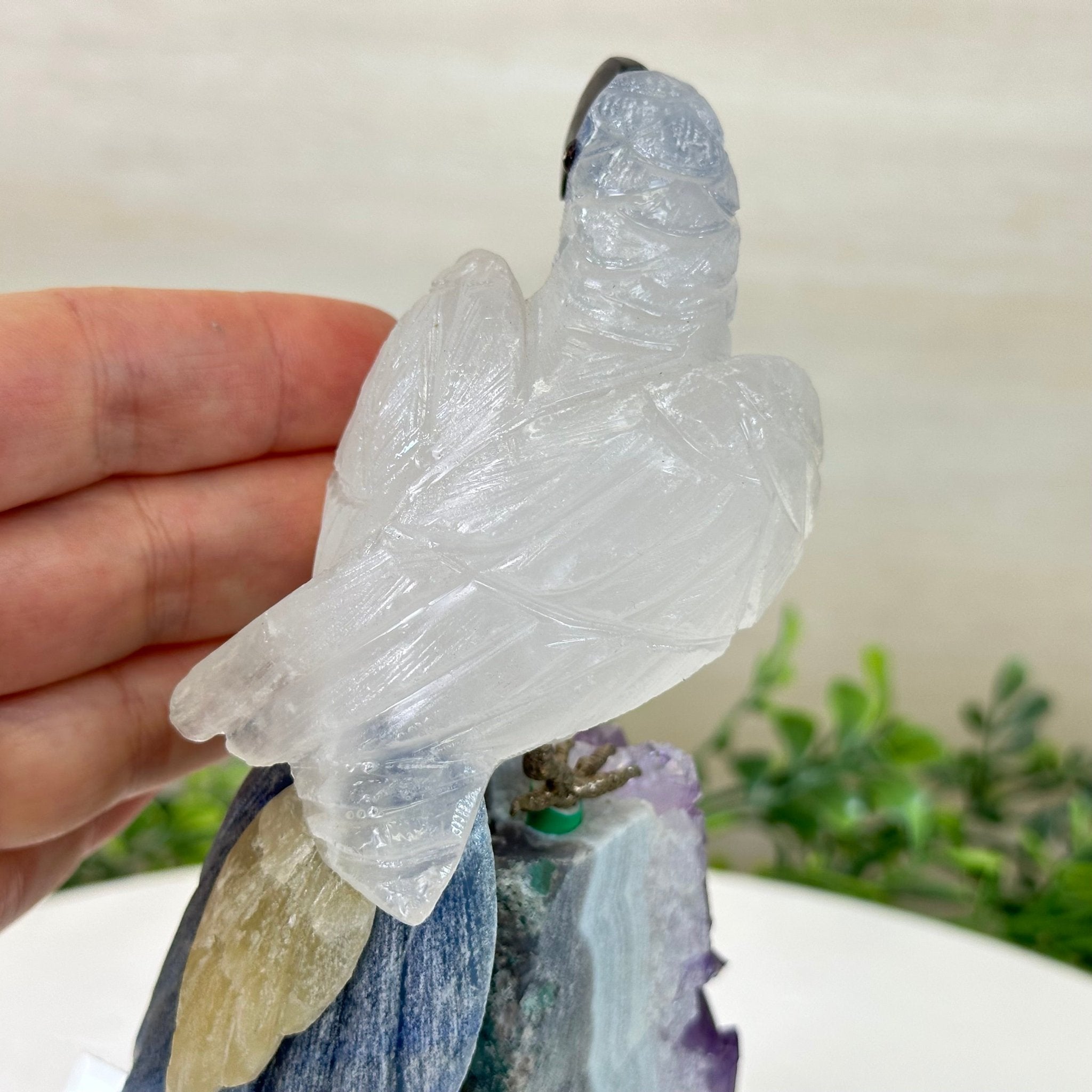 Large Hand - Carved Clear Quartz Parrot 7.4" Long on an Amethyst Cluster #3004 - CQPAM - 014 - Brazil GemsBrazil GemsLarge Hand - Carved Clear Quartz Parrot 7.4" Long on an Amethyst Cluster #3004 - CQPAM - 014Crystal Birds3004 - CQPAM - 014