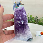 Large Hand - Carved Clear Quartz Parrot 7.4" Long on an Amethyst Cluster #3004 - CQPAM - 014 - Brazil GemsBrazil GemsLarge Hand - Carved Clear Quartz Parrot 7.4" Long on an Amethyst Cluster #3004 - CQPAM - 014Crystal Birds3004 - CQPAM - 014