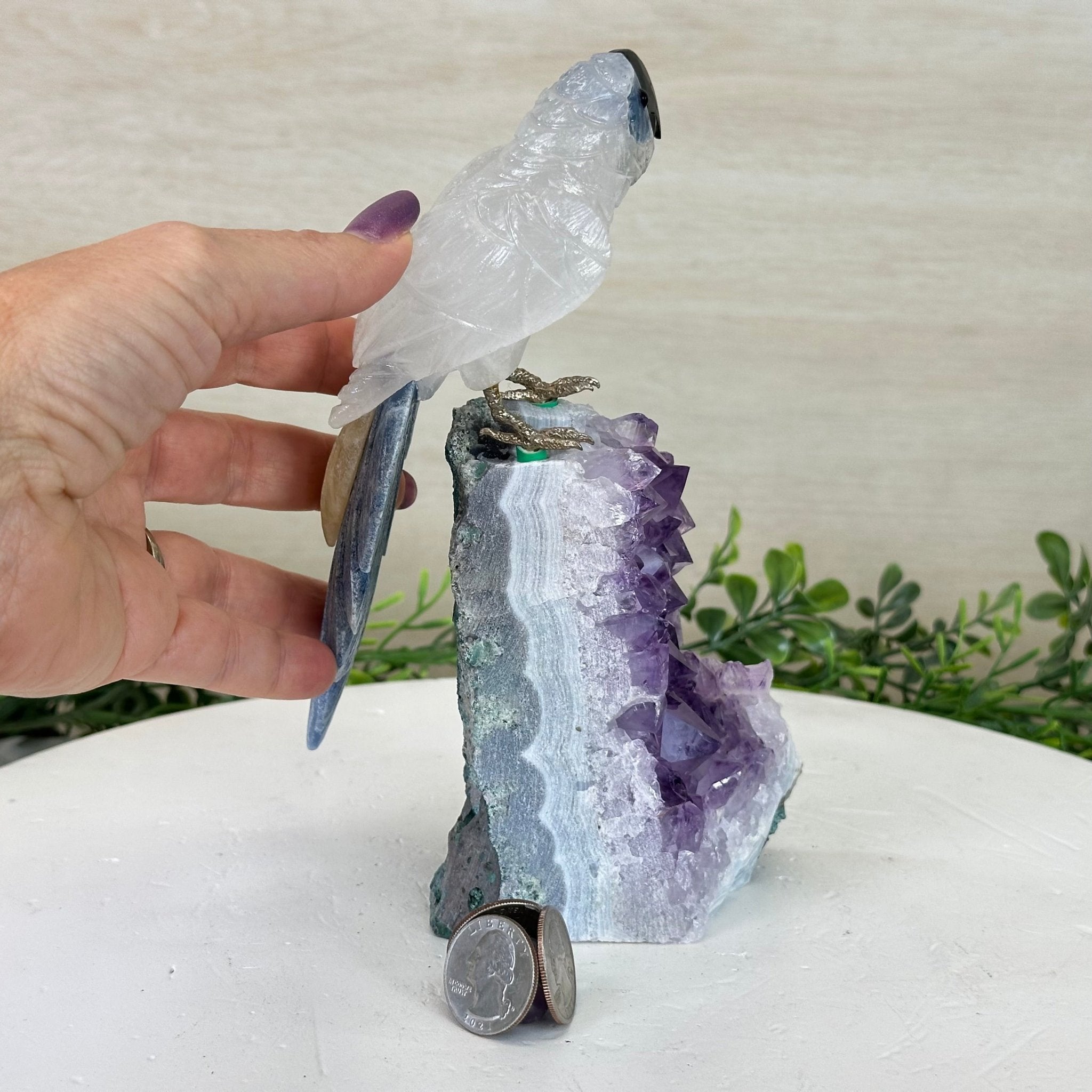 Large Hand - Carved Clear Quartz Parrot 7.4" Long on an Amethyst Cluster #3004 - CQPAM - 014 - Brazil GemsBrazil GemsLarge Hand - Carved Clear Quartz Parrot 7.4" Long on an Amethyst Cluster #3004 - CQPAM - 014Crystal Birds3004 - CQPAM - 014