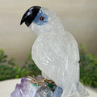 Large Hand - Carved Clear Quartz Parrot 7.4" Long on an Amethyst Cluster #3004 - CQPAM - 014 - Brazil GemsBrazil GemsLarge Hand - Carved Clear Quartz Parrot 7.4" Long on an Amethyst Cluster #3004 - CQPAM - 014Crystal Birds3004 - CQPAM - 014