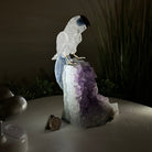 Large Hand - Carved Clear Quartz Parrot 7.4" Long on an Amethyst Cluster #3004 - CQPAM - 014 - Brazil GemsBrazil GemsLarge Hand - Carved Clear Quartz Parrot 7.4" Long on an Amethyst Cluster #3004 - CQPAM - 014Crystal Birds3004 - CQPAM - 014