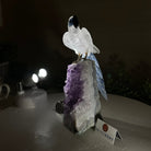 Large Hand - Carved Clear Quartz Parrot 7.4" Long on an Amethyst Cluster #3004 - CQPAM - 014 - Brazil GemsBrazil GemsLarge Hand - Carved Clear Quartz Parrot 7.4" Long on an Amethyst Cluster #3004 - CQPAM - 014Crystal Birds3004 - CQPAM - 014