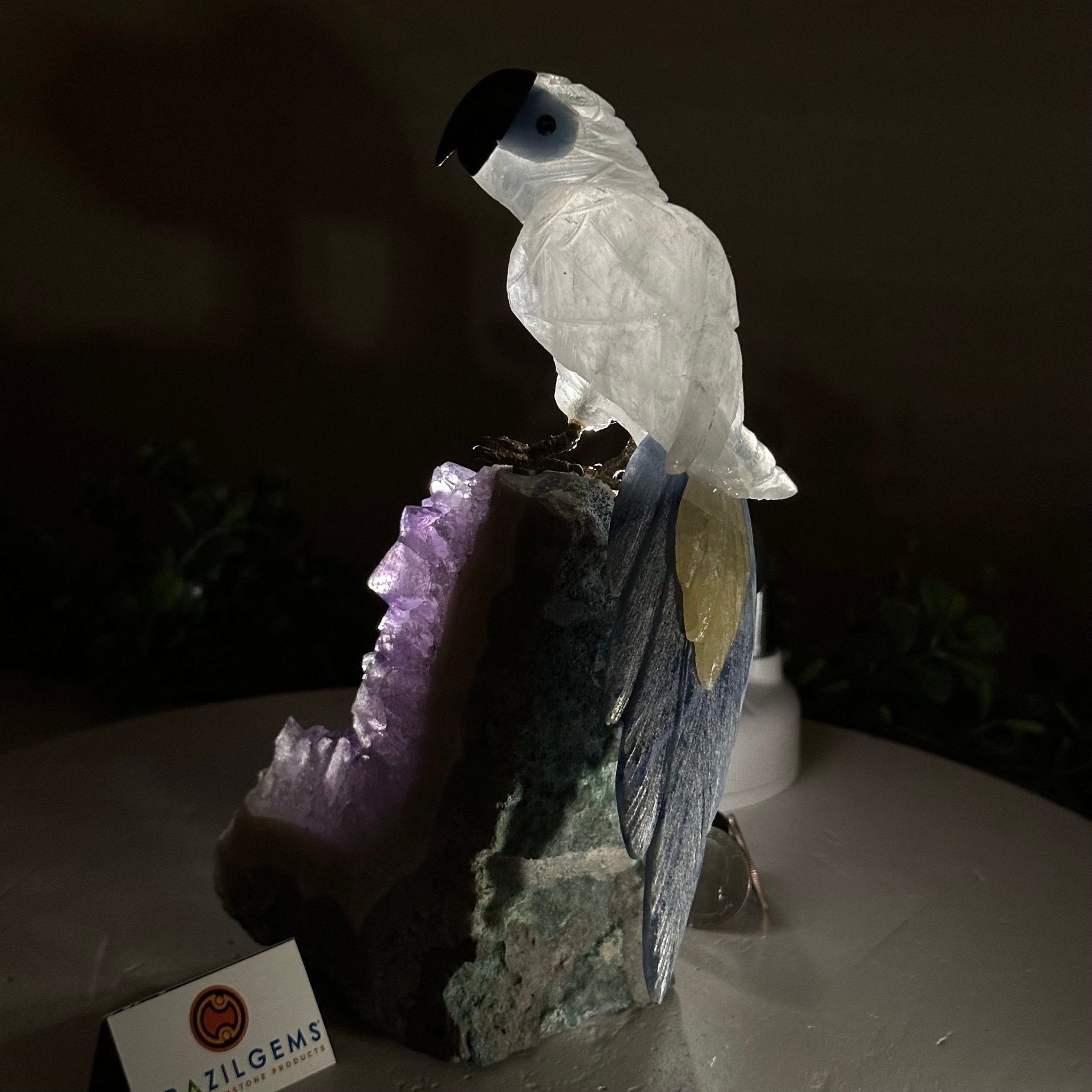 Large Hand - Carved Clear Quartz Parrot 7.4" Long on an Amethyst Cluster #3004 - CQPAM - 014 - Brazil GemsBrazil GemsLarge Hand - Carved Clear Quartz Parrot 7.4" Long on an Amethyst Cluster #3004 - CQPAM - 014Crystal Birds3004 - CQPAM - 014