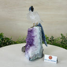 Large Hand - Carved Clear Quartz Parrot 7.4" Long on an Amethyst Cluster #3004 - CQPAM - 014 - Brazil GemsBrazil GemsLarge Hand - Carved Clear Quartz Parrot 7.4" Long on an Amethyst Cluster #3004 - CQPAM - 014Crystal Birds3004 - CQPAM - 014