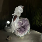 Large Hand - Carved Clear Quartz Parrot 8.3" Long on an Amethyst Cluster #3004 - CQPAM - 017 - Brazil GemsBrazil GemsLarge Hand - Carved Clear Quartz Parrot 8.3" Long on an Amethyst Cluster #3004 - CQPAM - 017Crystal Birds3004 - CQPAM - 017