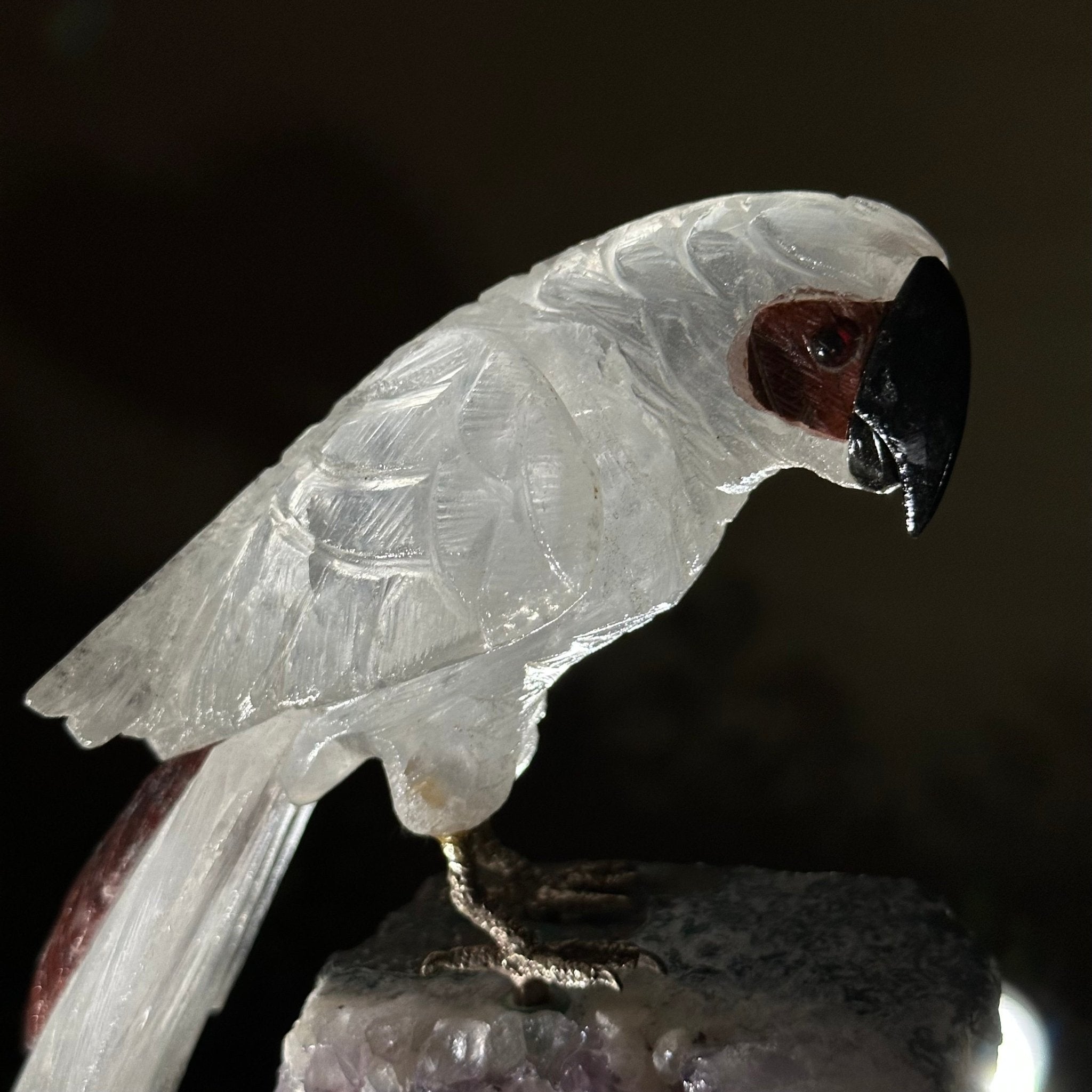 Large Hand - Carved Clear Quartz Parrot 8.3" Long on an Amethyst Cluster #3004 - CQPAM - 017 - Brazil GemsBrazil GemsLarge Hand - Carved Clear Quartz Parrot 8.3" Long on an Amethyst Cluster #3004 - CQPAM - 017Crystal Birds3004 - CQPAM - 017