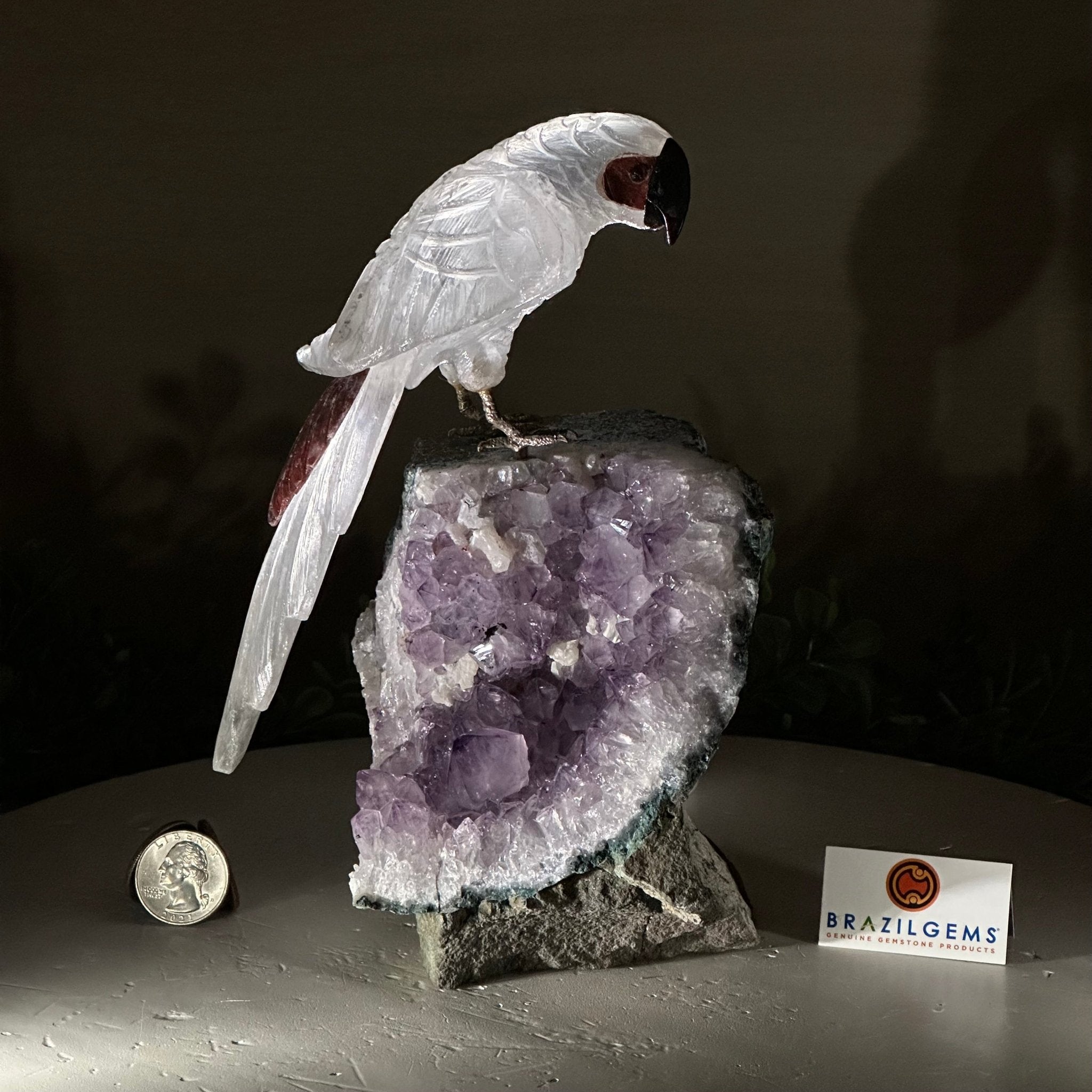 Large Hand - Carved Clear Quartz Parrot 8.3" Long on an Amethyst Cluster #3004 - CQPAM - 017 - Brazil GemsBrazil GemsLarge Hand - Carved Clear Quartz Parrot 8.3" Long on an Amethyst Cluster #3004 - CQPAM - 017Crystal Birds3004 - CQPAM - 017