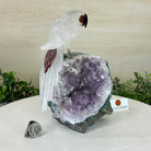 Large Hand - Carved Clear Quartz Parrot 8.3" Long on an Amethyst Cluster #3004 - CQPAM - 017 - Brazil GemsBrazil GemsLarge Hand - Carved Clear Quartz Parrot 8.3" Long on an Amethyst Cluster #3004 - CQPAM - 017Crystal Birds3004 - CQPAM - 017