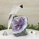 Large Hand - Carved Clear Quartz Parrot 8.3" Long on an Amethyst Cluster #3004 - CQPAM - 017 - Brazil GemsBrazil GemsLarge Hand - Carved Clear Quartz Parrot 8.3" Long on an Amethyst Cluster #3004 - CQPAM - 017Crystal Birds3004 - CQPAM - 017