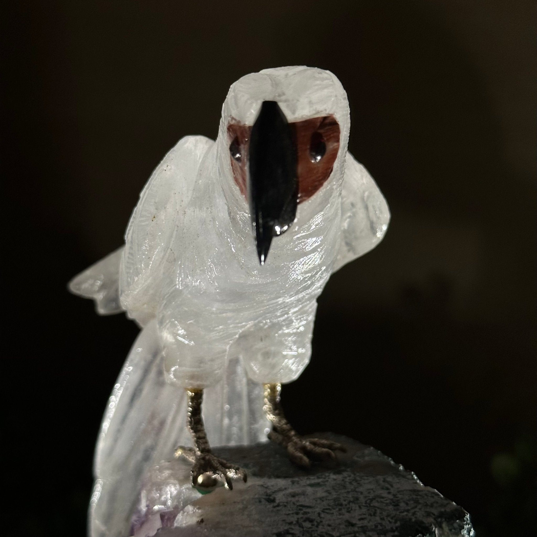 Large Hand - Carved Clear Quartz Parrot 8.3" Long on an Amethyst Cluster #3004 - CQPAM - 017 - Brazil GemsBrazil GemsLarge Hand - Carved Clear Quartz Parrot 8.3" Long on an Amethyst Cluster #3004 - CQPAM - 017Crystal Birds3004 - CQPAM - 017