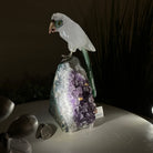 Large Hand - Carved Clear Quartz Parrot 8.5" Long on an Amethyst Cluster #3004 - CQPAM - 015 - Brazil GemsBrazil GemsLarge Hand - Carved Clear Quartz Parrot 8.5" Long on an Amethyst Cluster #3004 - CQPAM - 015Crystal Birds3004 - CQPAM - 015