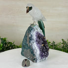 Large Hand - Carved Clear Quartz Parrot 8.5" Long on an Amethyst Cluster #3004 - CQPAM - 015 - Brazil GemsBrazil GemsLarge Hand - Carved Clear Quartz Parrot 8.5" Long on an Amethyst Cluster #3004 - CQPAM - 015Crystal Birds3004 - CQPAM - 015