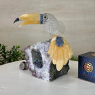 Large Hand - Carved Clear Quartz Toucan Bird w/ Amethyst Base, 7.3" Tall #3004 - CQTAM - 053 - Brazil GemsBrazil GemsLarge Hand - Carved Clear Quartz Toucan Bird w/ Amethyst Base, 7.3" Tall #3004 - CQTAM - 053Crystal Birds3004 - CQTAM - 053