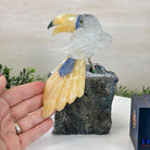 Large Hand - Carved Clear Quartz Toucan Bird w/ Amethyst Base, 7.3" Tall #3004 - CQTAM - 053 - Brazil GemsBrazil GemsLarge Hand - Carved Clear Quartz Toucan Bird w/ Amethyst Base, 7.3" Tall #3004 - CQTAM - 053Crystal Birds3004 - CQTAM - 053