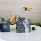 Large Hand - Carved Clear Quartz Toucan Bird w/ Amethyst Base, 7.3" Tall #3004 - CQTAM - 053 - Brazil GemsBrazil GemsLarge Hand - Carved Clear Quartz Toucan Bird w/ Amethyst Base, 7.3" Tall #3004 - CQTAM - 053Crystal Birds3004 - CQTAM - 053