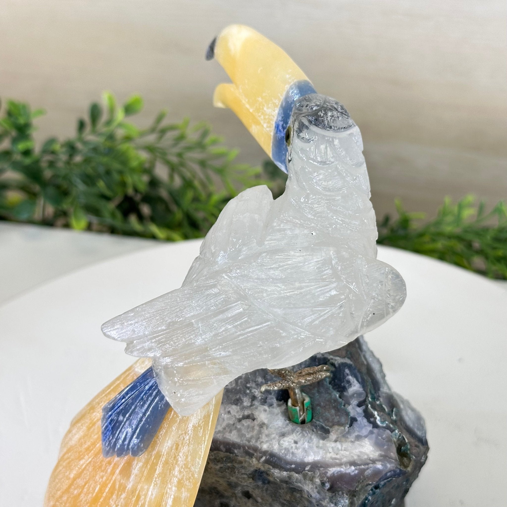 Large Hand - Carved Clear Quartz Toucan Bird w/ Amethyst Base, 7.3" Tall #3004 - CQTAM - 053 - Brazil GemsBrazil GemsLarge Hand - Carved Clear Quartz Toucan Bird w/ Amethyst Base, 7.3" Tall #3004 - CQTAM - 053Crystal Birds3004 - CQTAM - 053