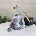 Large Hand - Carved Clear Quartz Toucan Bird w/ Amethyst Base, 7.3" Tall #3004 - CQTAM - 053 - Brazil GemsBrazil GemsLarge Hand - Carved Clear Quartz Toucan Bird w/ Amethyst Base, 7.3" Tall #3004 - CQTAM - 053Crystal Birds3004 - CQTAM - 053