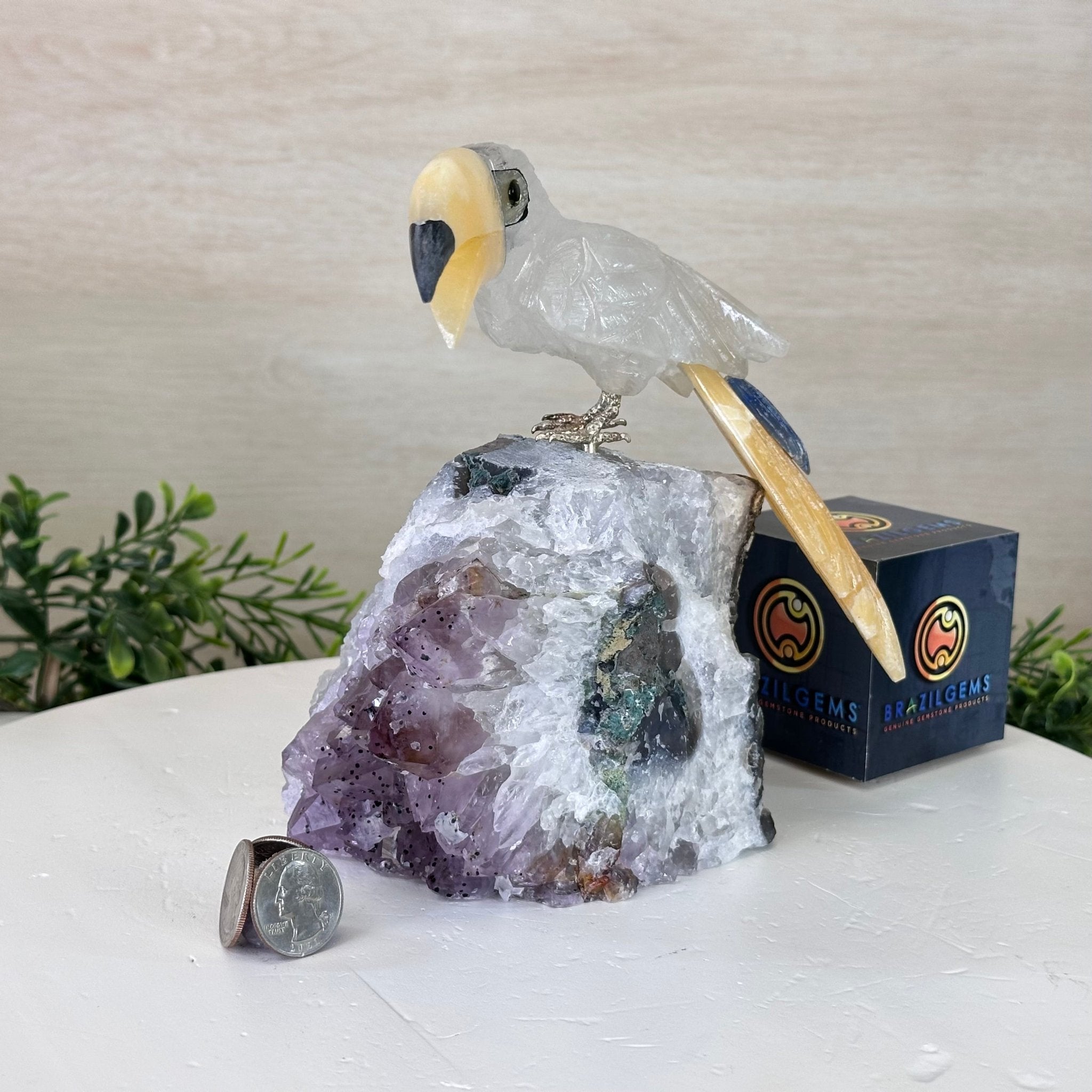 Large Hand - Carved Clear Quartz Toucan Bird w/ Amethyst Base, 7.3" Tall #3004 - CQTAM - 053 - Brazil GemsBrazil GemsLarge Hand - Carved Clear Quartz Toucan Bird w/ Amethyst Base, 7.3" Tall #3004 - CQTAM - 053Crystal Birds3004 - CQTAM - 053