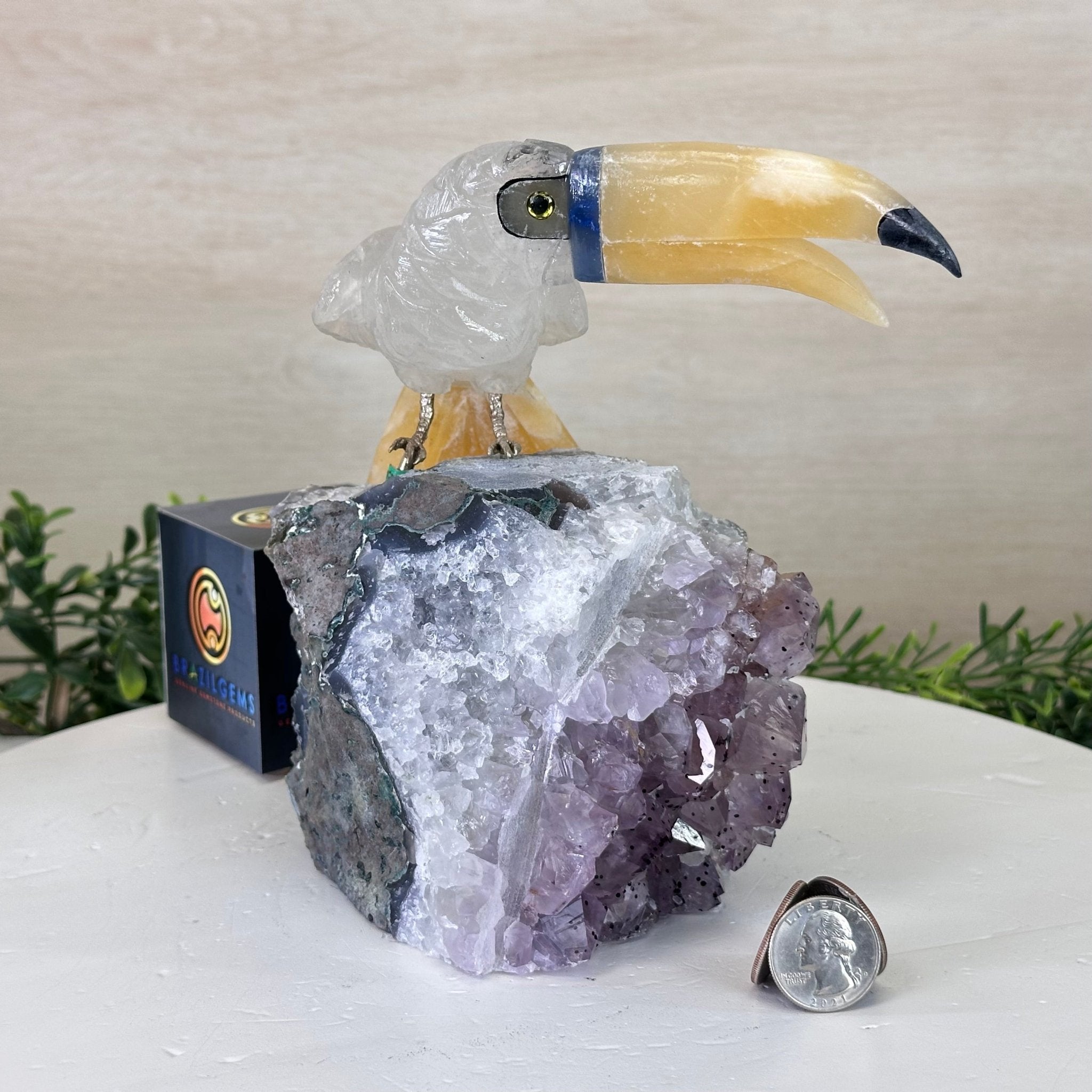 Large Hand - Carved Clear Quartz Toucan Bird w/ Amethyst Base, 7.3" Tall #3004 - CQTAM - 053 - Brazil GemsBrazil GemsLarge Hand - Carved Clear Quartz Toucan Bird w/ Amethyst Base, 7.3" Tall #3004 - CQTAM - 053Crystal Birds3004 - CQTAM - 053