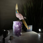 Large Hand - Carved Fire Quartz Cockatoo on an Amethyst Base, 9.9" Tall #3004 - FQCAM - 039 - Brazil GemsBrazil GemsLarge Hand - Carved Fire Quartz Cockatoo on an Amethyst Base, 9.9" Tall #3004 - FQCAM - 039Crystal Birds3004 - FQCAM - 039