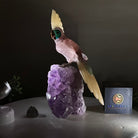 Large Hand - Carved Fire Quartz Cockatoo on an Amethyst Base, 9.9" Tall #3004 - FQCAM - 039 - Brazil GemsBrazil GemsLarge Hand - Carved Fire Quartz Cockatoo on an Amethyst Base, 9.9" Tall #3004 - FQCAM - 039Crystal Birds3004 - FQCAM - 039