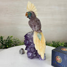 Large Hand - Carved Fire Quartz Cockatoo on an Amethyst Base, 9.9" Tall #3004 - FQCAM - 039 - Brazil GemsBrazil GemsLarge Hand - Carved Fire Quartz Cockatoo on an Amethyst Base, 9.9" Tall #3004 - FQCAM - 039Crystal Birds3004 - FQCAM - 039