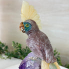 Large Hand - Carved Fire Quartz Cockatoo on an Amethyst Base, 9.9" Tall #3004 - FQCAM - 039 - Brazil GemsBrazil GemsLarge Hand - Carved Fire Quartz Cockatoo on an Amethyst Base, 9.9" Tall #3004 - FQCAM - 039Crystal Birds3004 - FQCAM - 039