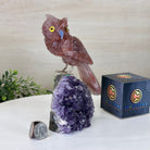 Large Hand - Carved Fire Quartz Owl w/ Amethyst Base, 7" Tall #3004 - FQOAM - 049 - Brazil GemsBrazil GemsLarge Hand - Carved Fire Quartz Owl w/ Amethyst Base, 7" Tall #3004 - FQOAM - 049Crystal Birds3004 - FQOAM - 049