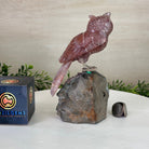 Large Hand - Carved Fire Quartz Owl w/ Amethyst Base, 7" Tall #3004 - FQOAM - 049 - Brazil GemsBrazil GemsLarge Hand - Carved Fire Quartz Owl w/ Amethyst Base, 7" Tall #3004 - FQOAM - 049Crystal Birds3004 - FQOAM - 049