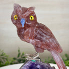 Large Hand - Carved Fire Quartz Owl w/ Amethyst Base, 7" Tall #3004 - FQOAM - 049 - Brazil GemsBrazil GemsLarge Hand - Carved Fire Quartz Owl w/ Amethyst Base, 7" Tall #3004 - FQOAM - 049Crystal Birds3004 - FQOAM - 049