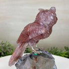 Large Hand - Carved Fire Quartz Owl w/ Amethyst Base, 7" Tall #3004 - FQOAM - 049 - Brazil GemsBrazil GemsLarge Hand - Carved Fire Quartz Owl w/ Amethyst Base, 7" Tall #3004 - FQOAM - 049Crystal Birds3004 - FQOAM - 049