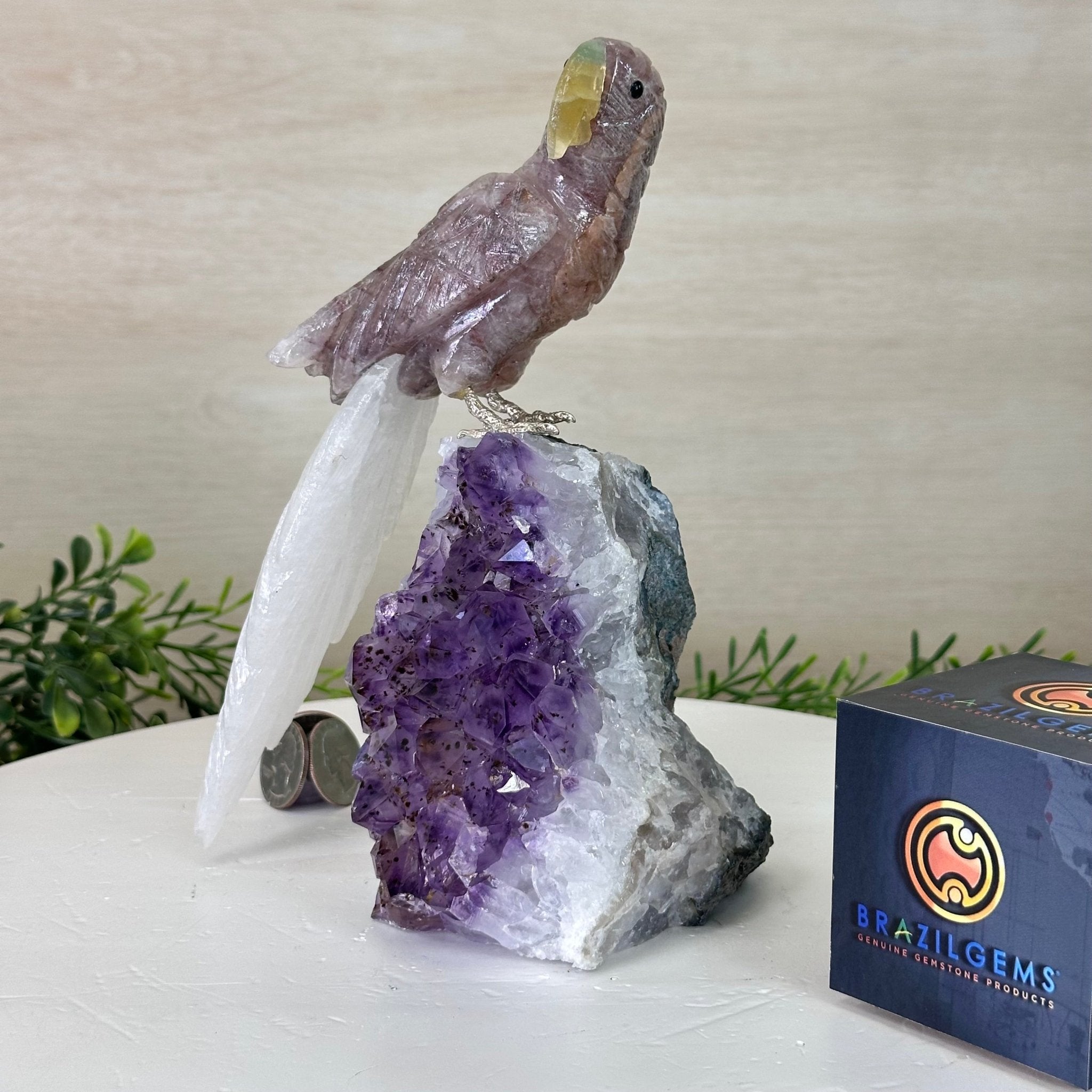 Large Hand - Carved Fire Quartz Parrot on an Amethyst Base, 8.1" Tall #3004 - FQPAM - 020 - Brazil GemsBrazil GemsLarge Hand - Carved Fire Quartz Parrot on an Amethyst Base, 8.1" Tall #3004 - FQPAM - 020Crystal Birds3004 - FQPAM - 020