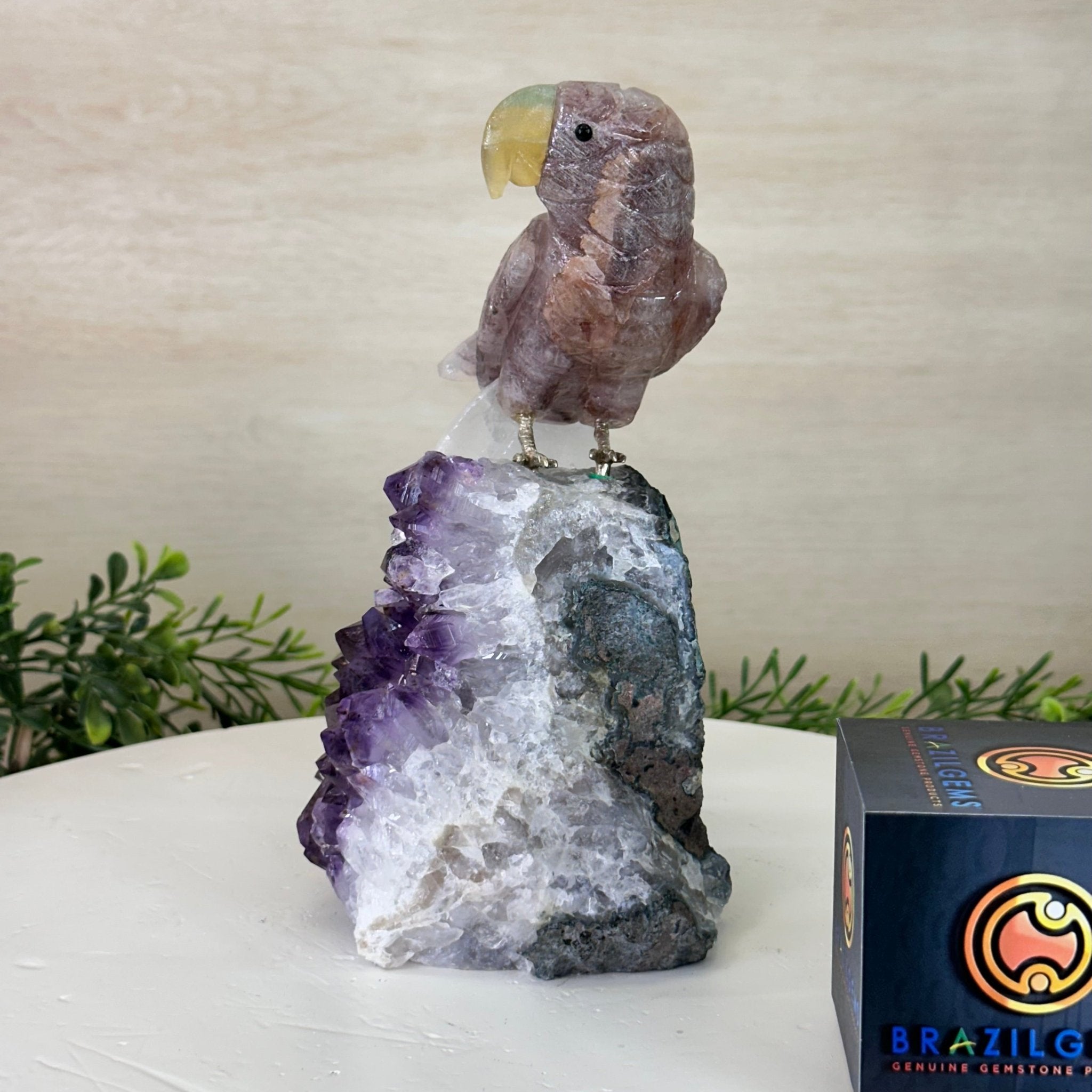 Large Hand - Carved Fire Quartz Parrot on an Amethyst Base, 8.1" Tall #3004 - FQPAM - 020 - Brazil GemsBrazil GemsLarge Hand - Carved Fire Quartz Parrot on an Amethyst Base, 8.1" Tall #3004 - FQPAM - 020Crystal Birds3004 - FQPAM - 020