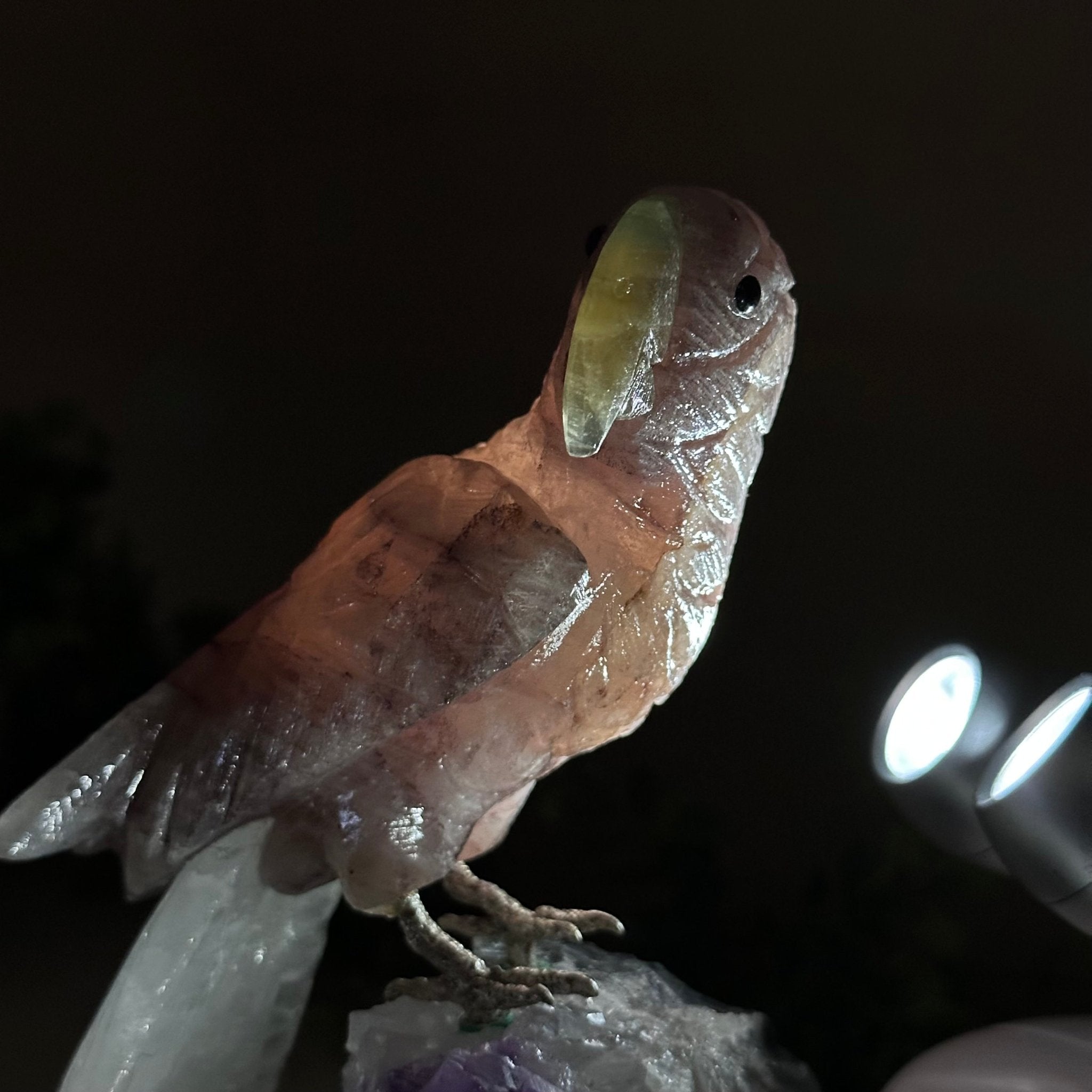 Large Hand - Carved Fire Quartz Parrot on an Amethyst Base, 8.1" Tall #3004 - FQPAM - 020 - Brazil GemsBrazil GemsLarge Hand - Carved Fire Quartz Parrot on an Amethyst Base, 8.1" Tall #3004 - FQPAM - 020Crystal Birds3004 - FQPAM - 020