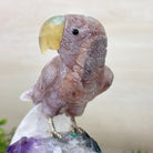 Large Hand - Carved Fire Quartz Parrot on an Amethyst Base, 8.1" Tall #3004 - FQPAM - 020 - Brazil GemsBrazil GemsLarge Hand - Carved Fire Quartz Parrot on an Amethyst Base, 8.1" Tall #3004 - FQPAM - 020Crystal Birds3004 - FQPAM - 020