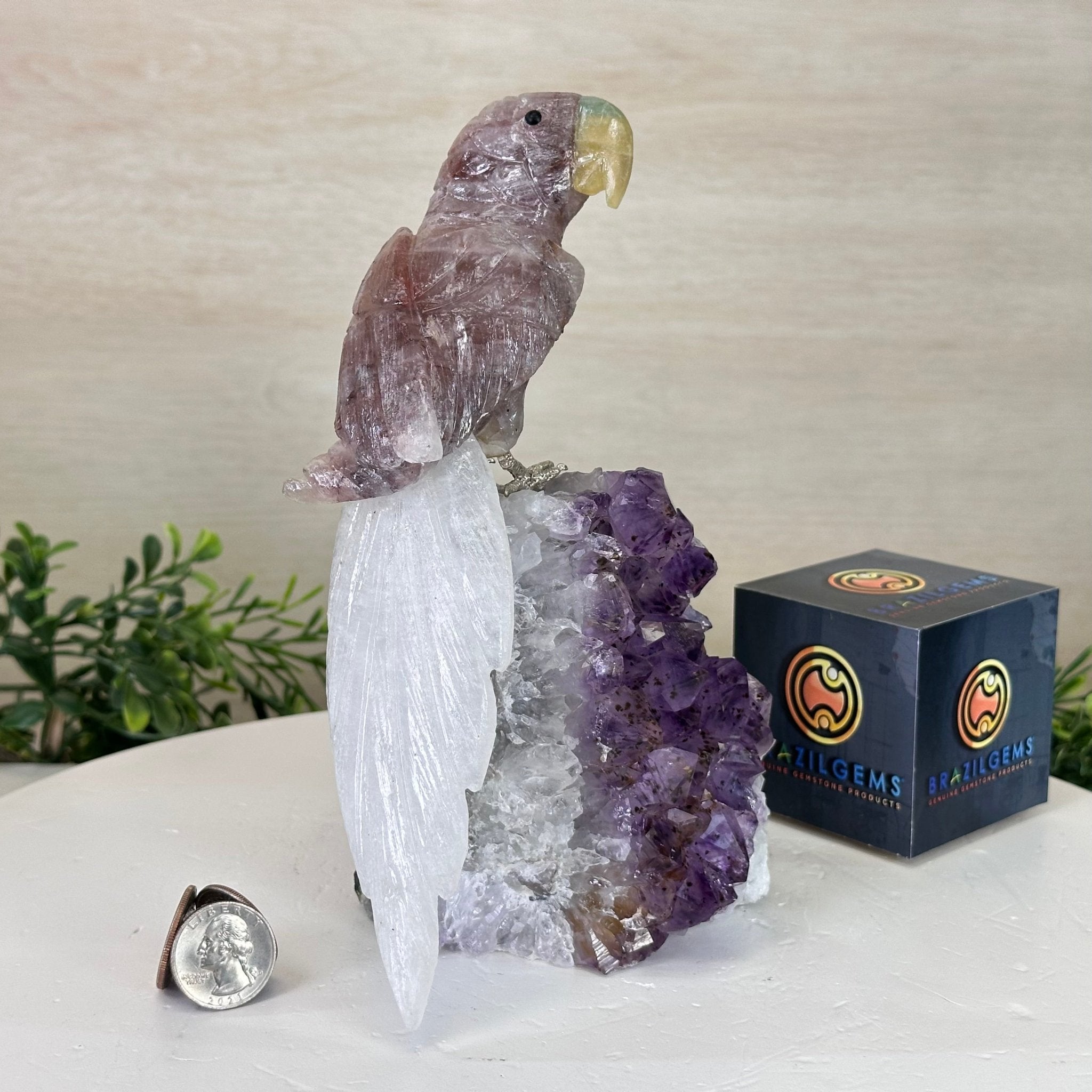 Large Hand - Carved Fire Quartz Parrot on an Amethyst Base, 8.1" Tall #3004 - FQPAM - 020 - Brazil GemsBrazil GemsLarge Hand - Carved Fire Quartz Parrot on an Amethyst Base, 8.1" Tall #3004 - FQPAM - 020Crystal Birds3004 - FQPAM - 020