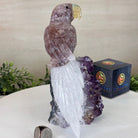 Large Hand - Carved Fire Quartz Parrot on an Amethyst Base, 8.1" Tall #3004 - FQPAM - 020 - Brazil GemsBrazil GemsLarge Hand - Carved Fire Quartz Parrot on an Amethyst Base, 8.1" Tall #3004 - FQPAM - 020Crystal Birds3004 - FQPAM - 020